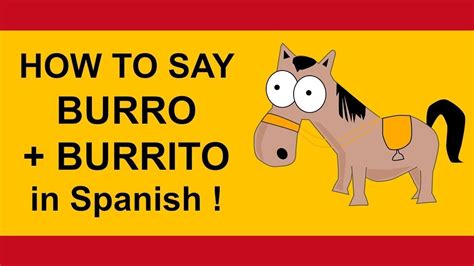 burro spanish to english|burra meaning in spanish.